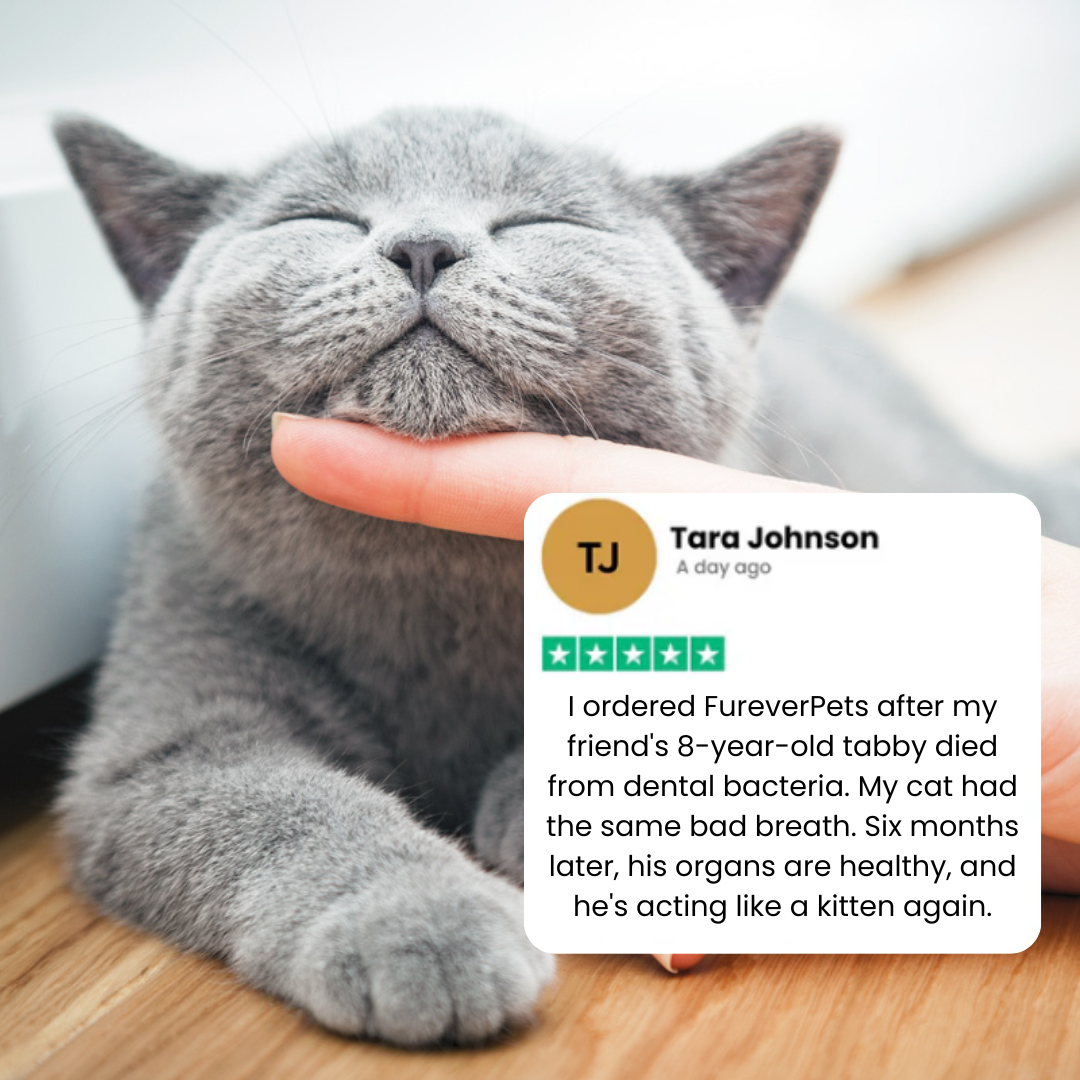 FureverPets Vet-Grade Cat Water Additive