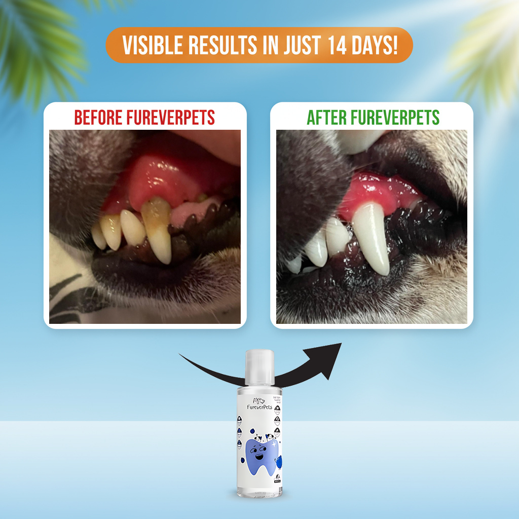 FureverPets Vet-Grade Water Additive