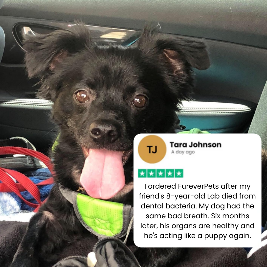 FureverPets Vet-Grade Water Additive