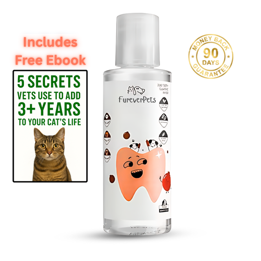 FureverPets Vet-Grade Cat Water Additive