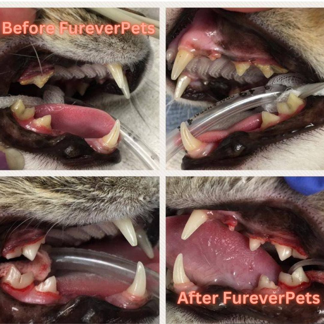 FureverPets Vet-Grade Cat Water Additive