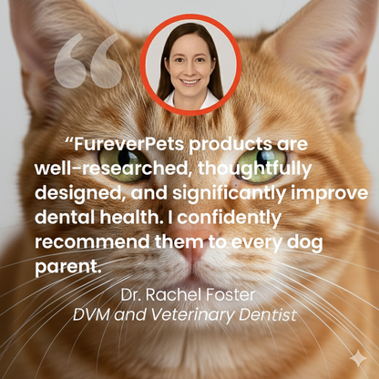 FureverPets Vet-Grade Cat Water Additive