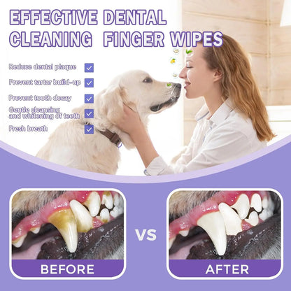 Gentle Enzyme Wipes for Dogs