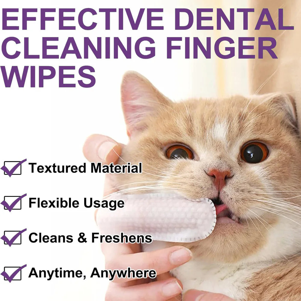 Gentle Enzyme Wipes for Dogs