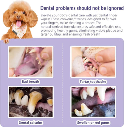 Gentle Enzyme Wipes for Dogs
