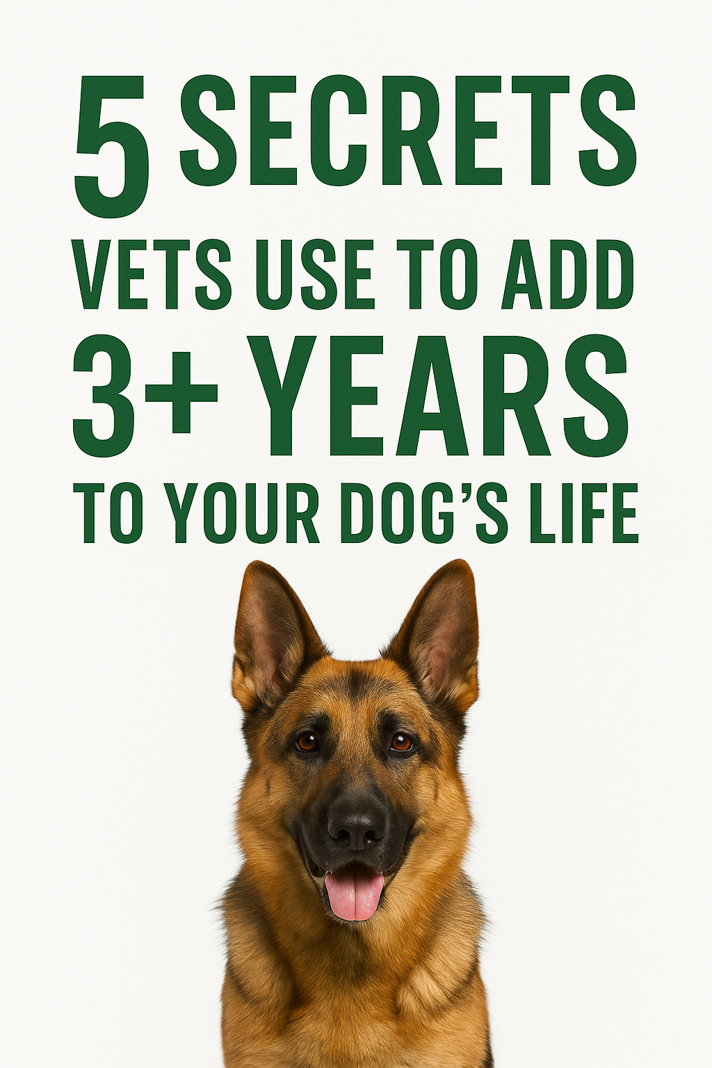 5 Secrets Vets use to add 3+ Years to your Dogs Life eBook